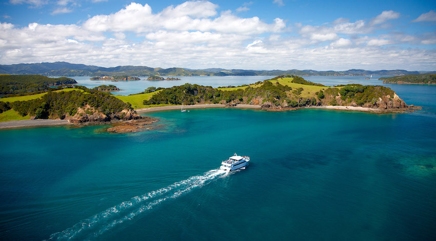 Hole in the Rock Cruise - Bay of Islands (Paihia) | Stray NZ