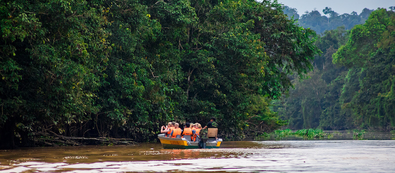 Haut 36+ Imagen Kinabatangan River Cruise - Fr.thptnganamst.edu.vn